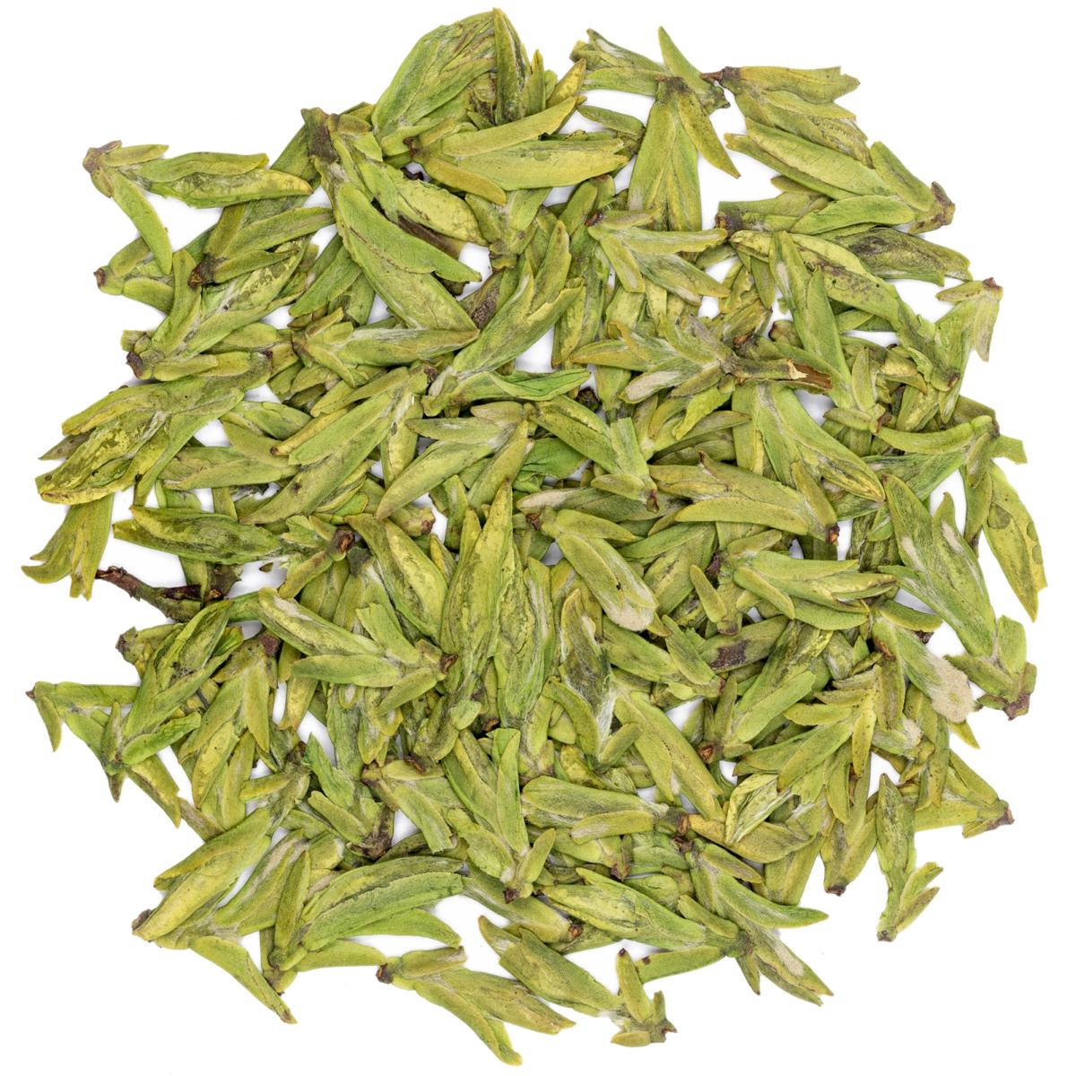 Hossegor (sencha)